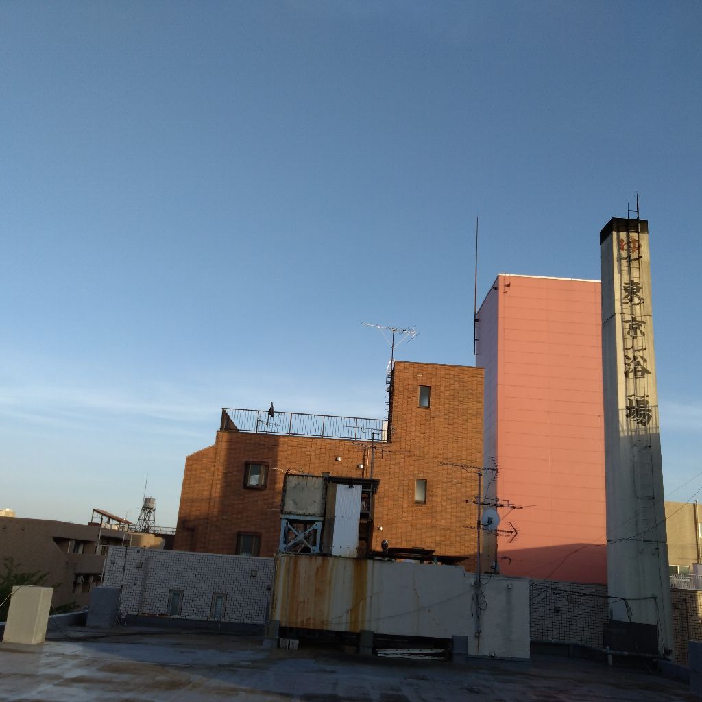 #1431『春眠や ハト逃げる🕊️‼️🍅』