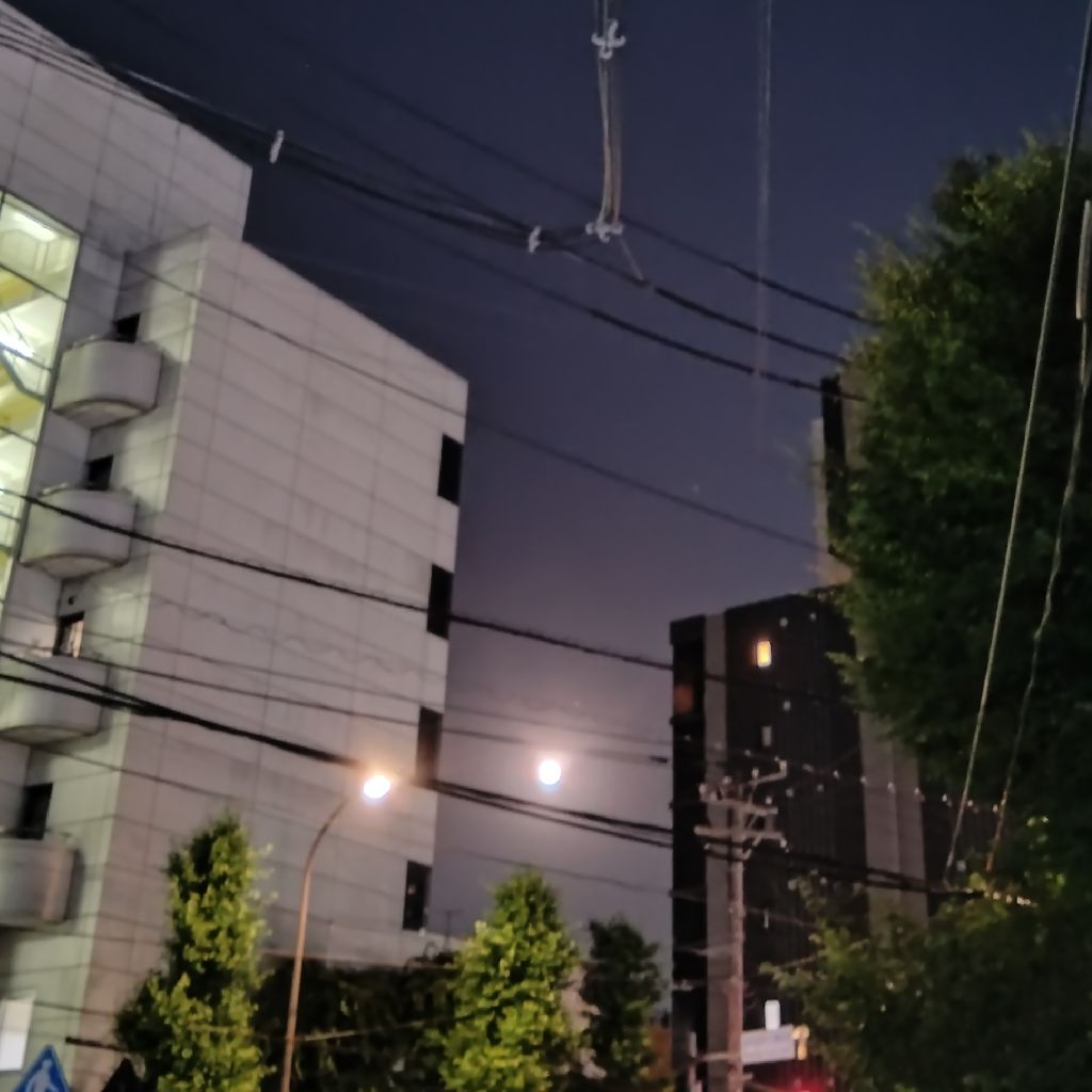 #1445『夏の月 ブルームーン』