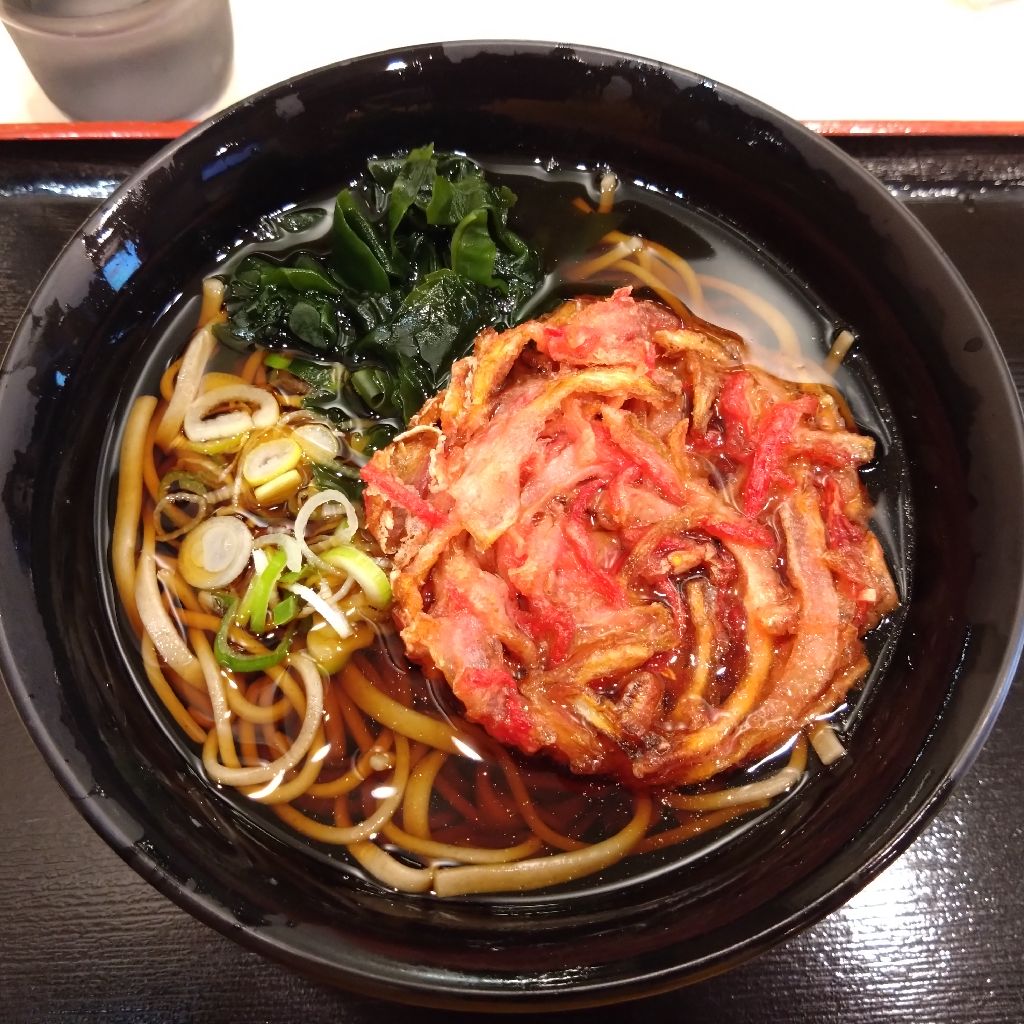 #1455『壊れても 扇風機🪭‼️🍅』