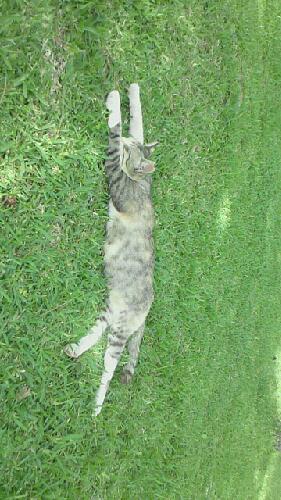 ひとりカラオケの新しい楽しみ方