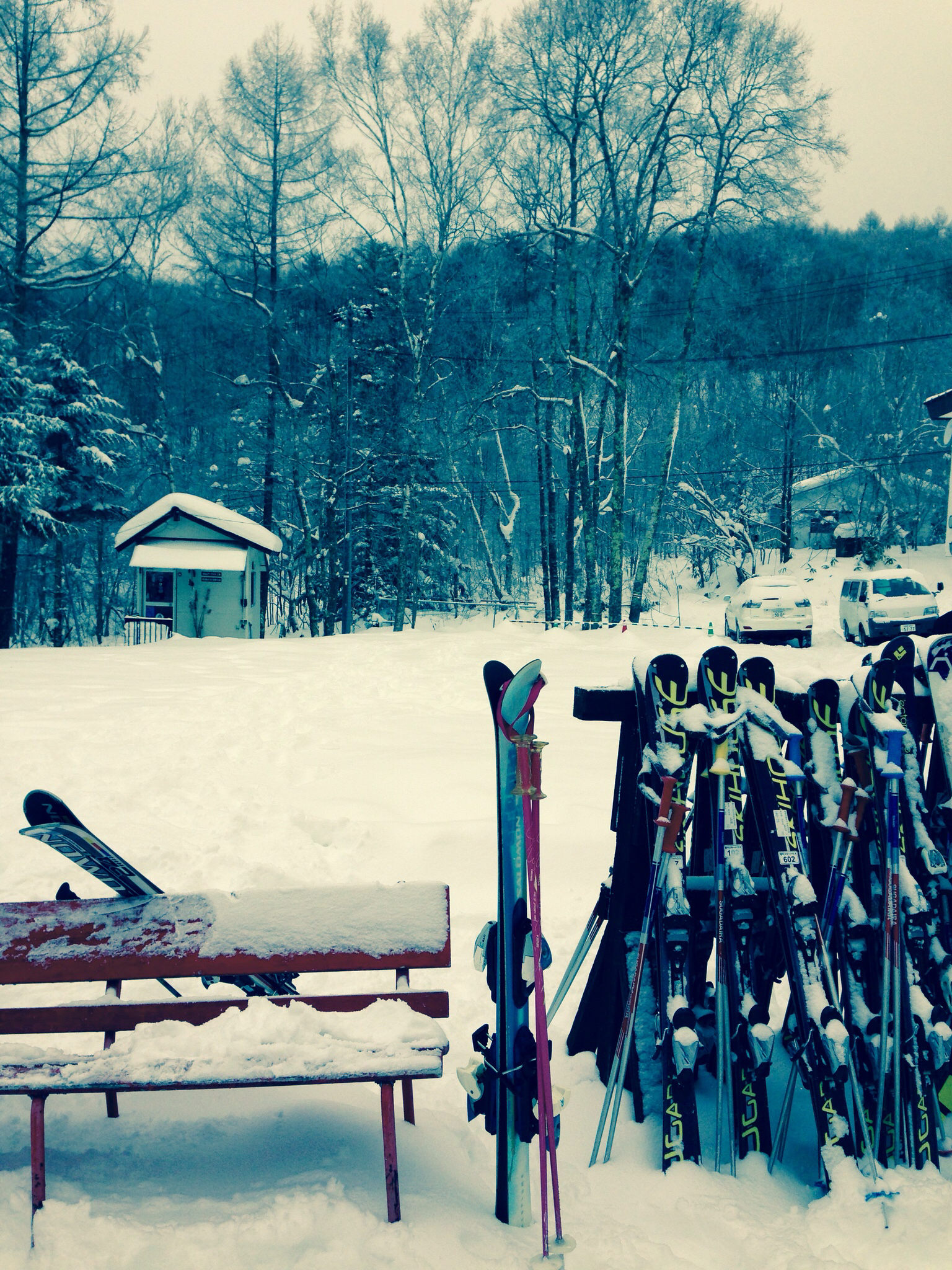 本棚の整理しながら