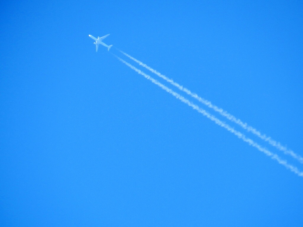 ハリコンいってきた