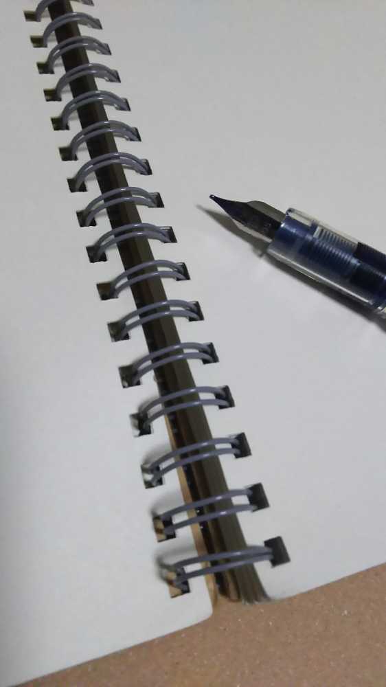 サヨの恋について