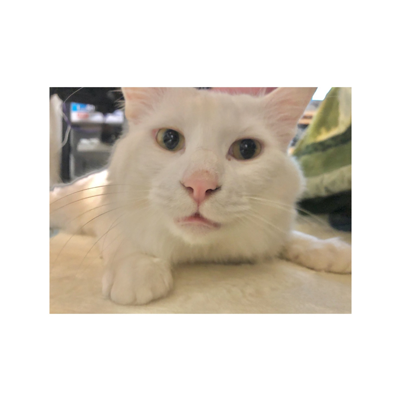 #2ルーレットトーク