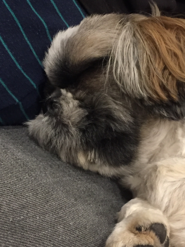 テストと自分用