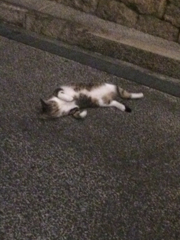 腐女子の作業用