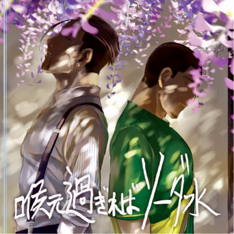 セミモドキのターン！！ドロー！！