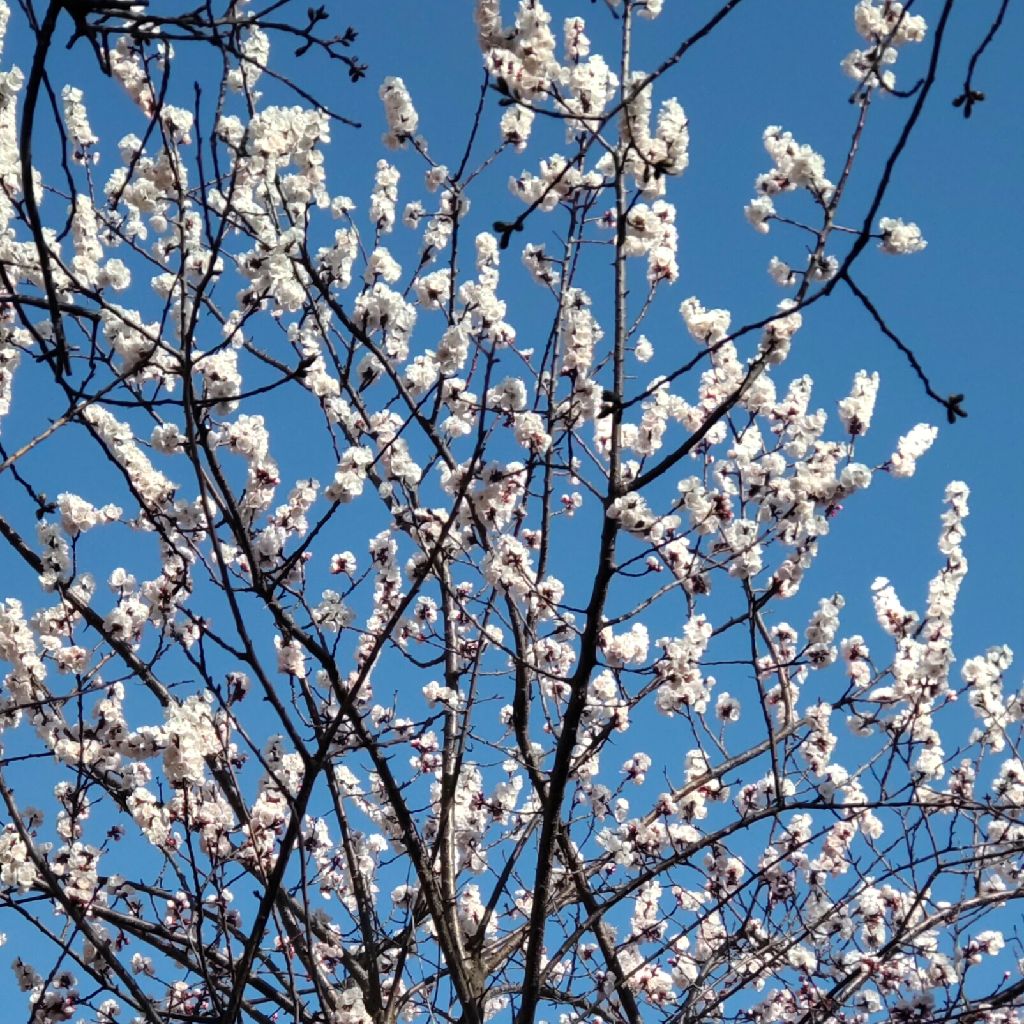 #188  明けました おめでとう(笑)