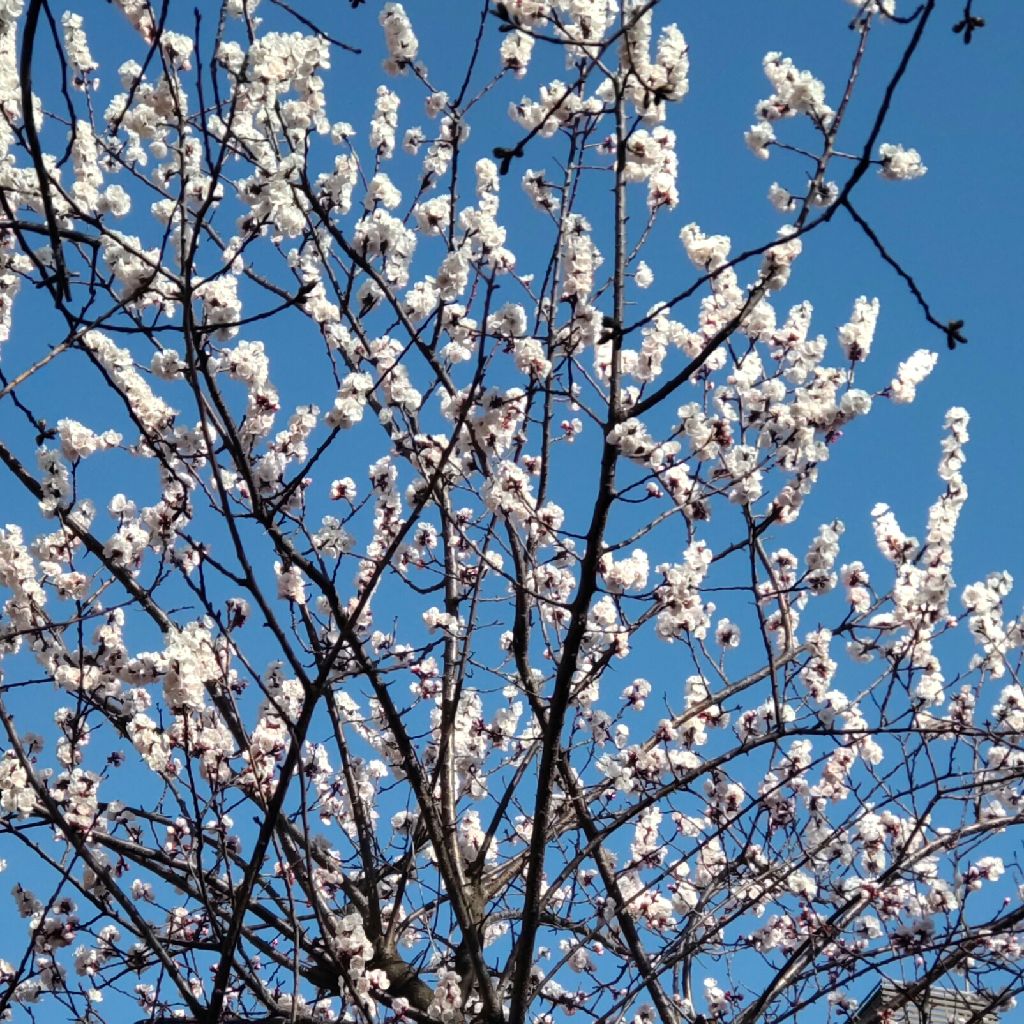 #189  調子のいい夢と目覚め！！