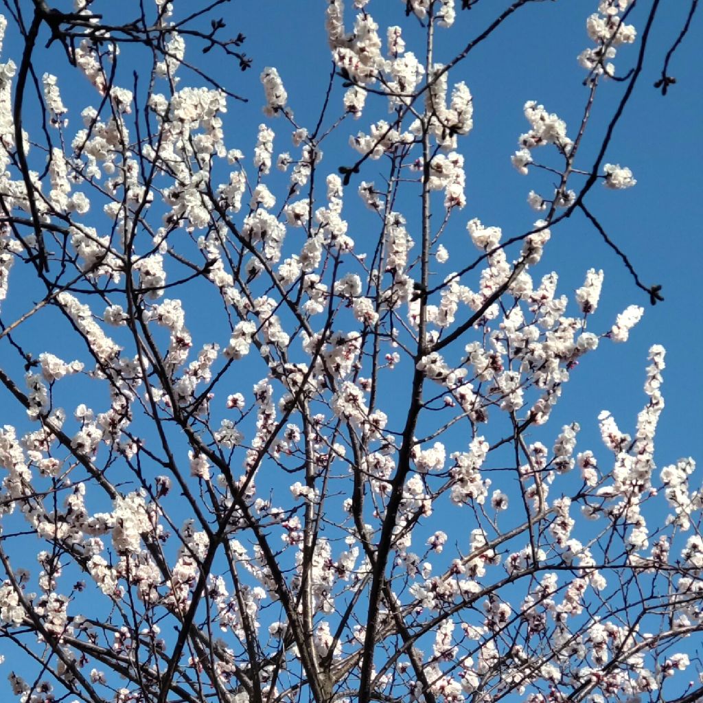 #190  ちょうど１ヶ月前のスカイツリーの事故を思い出したー。