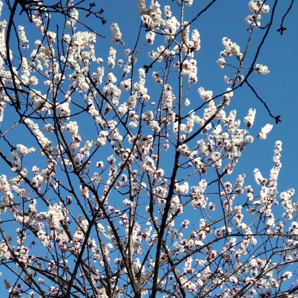 #191  朗読してみた1️⃣5️⃣