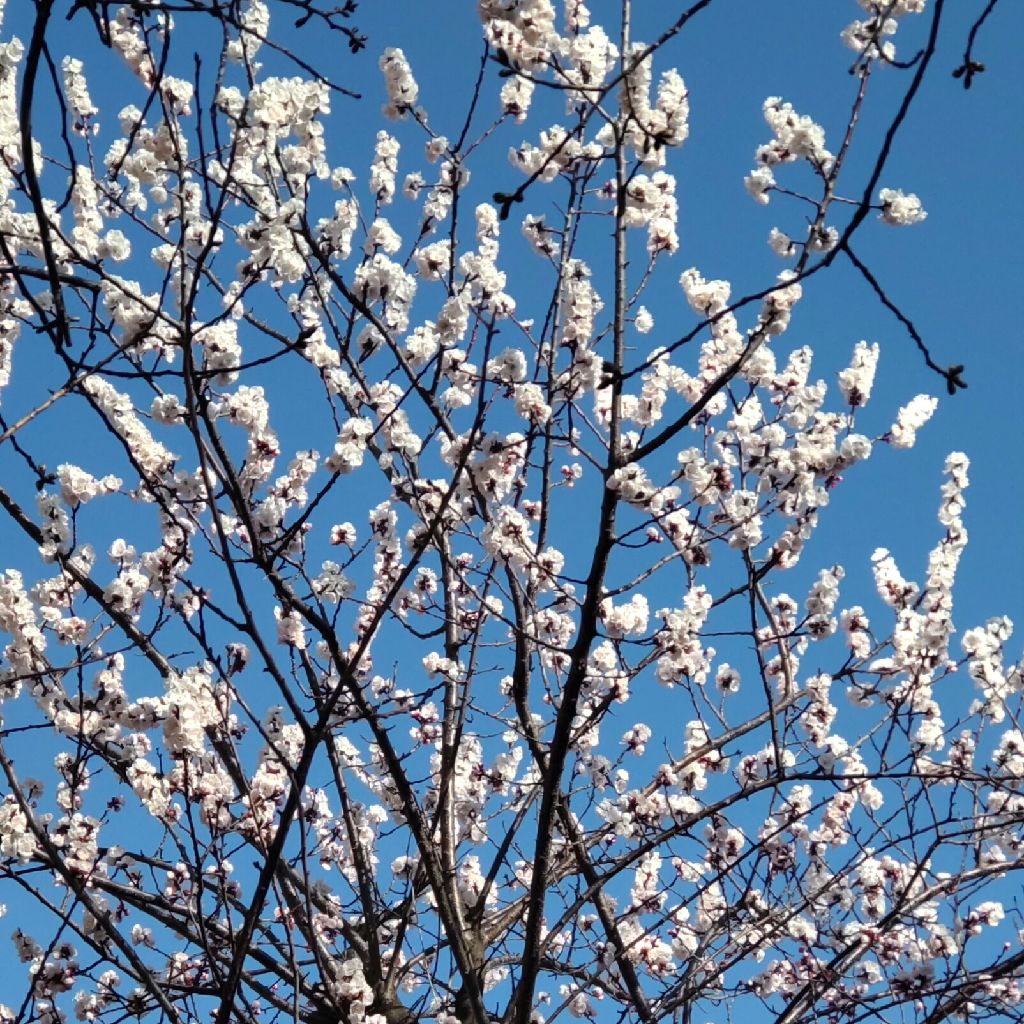 #192  訪問介護のイメージってどんなですか？？