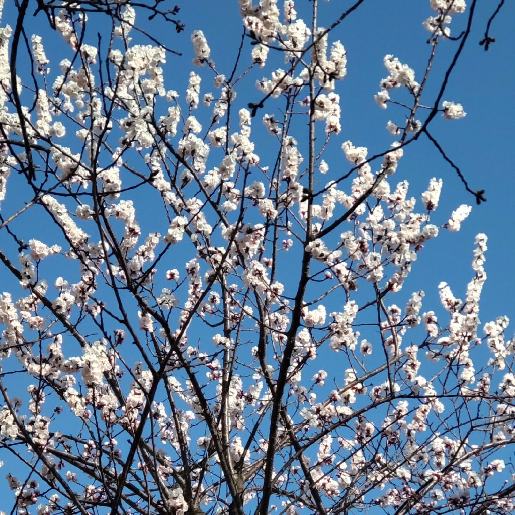 #193  施設と訪問の違いって？？