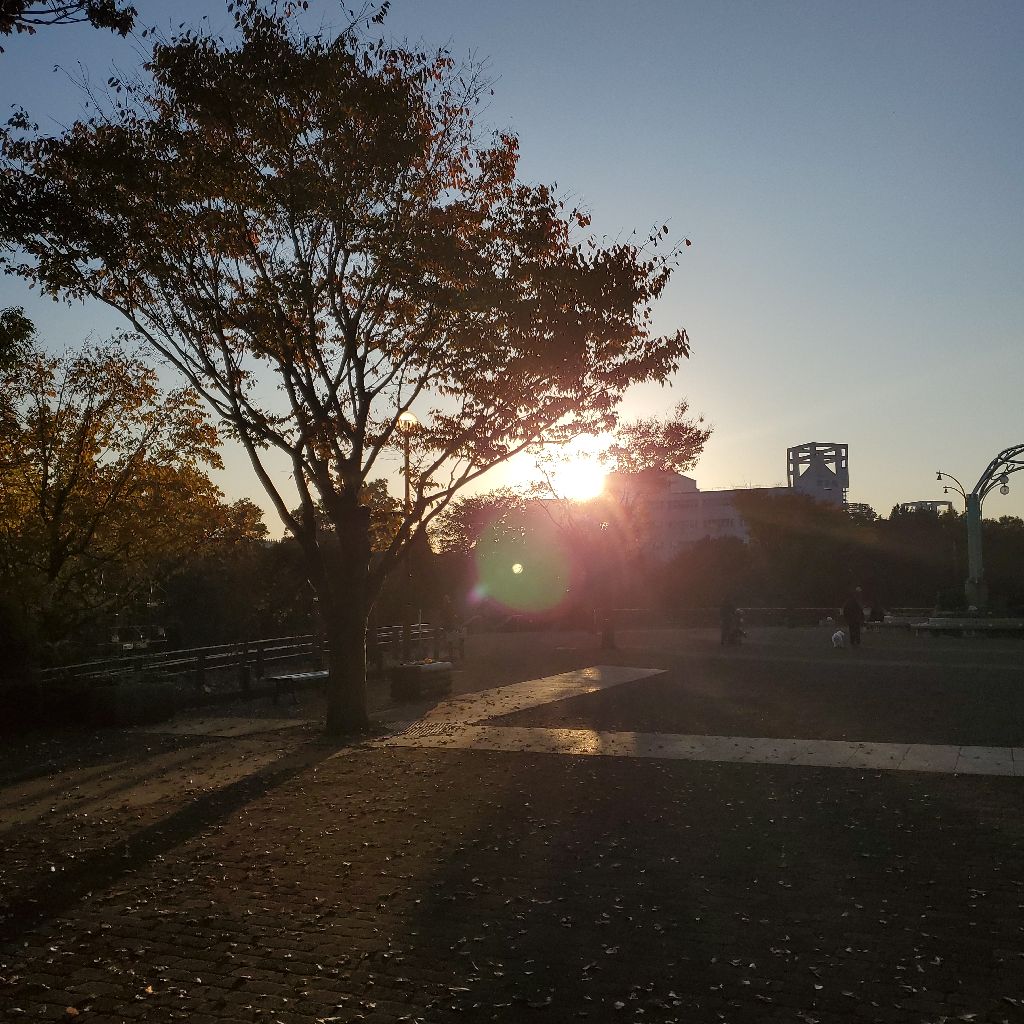 紅葉の季節ですね⁉️&掃除は良い理由とは👆