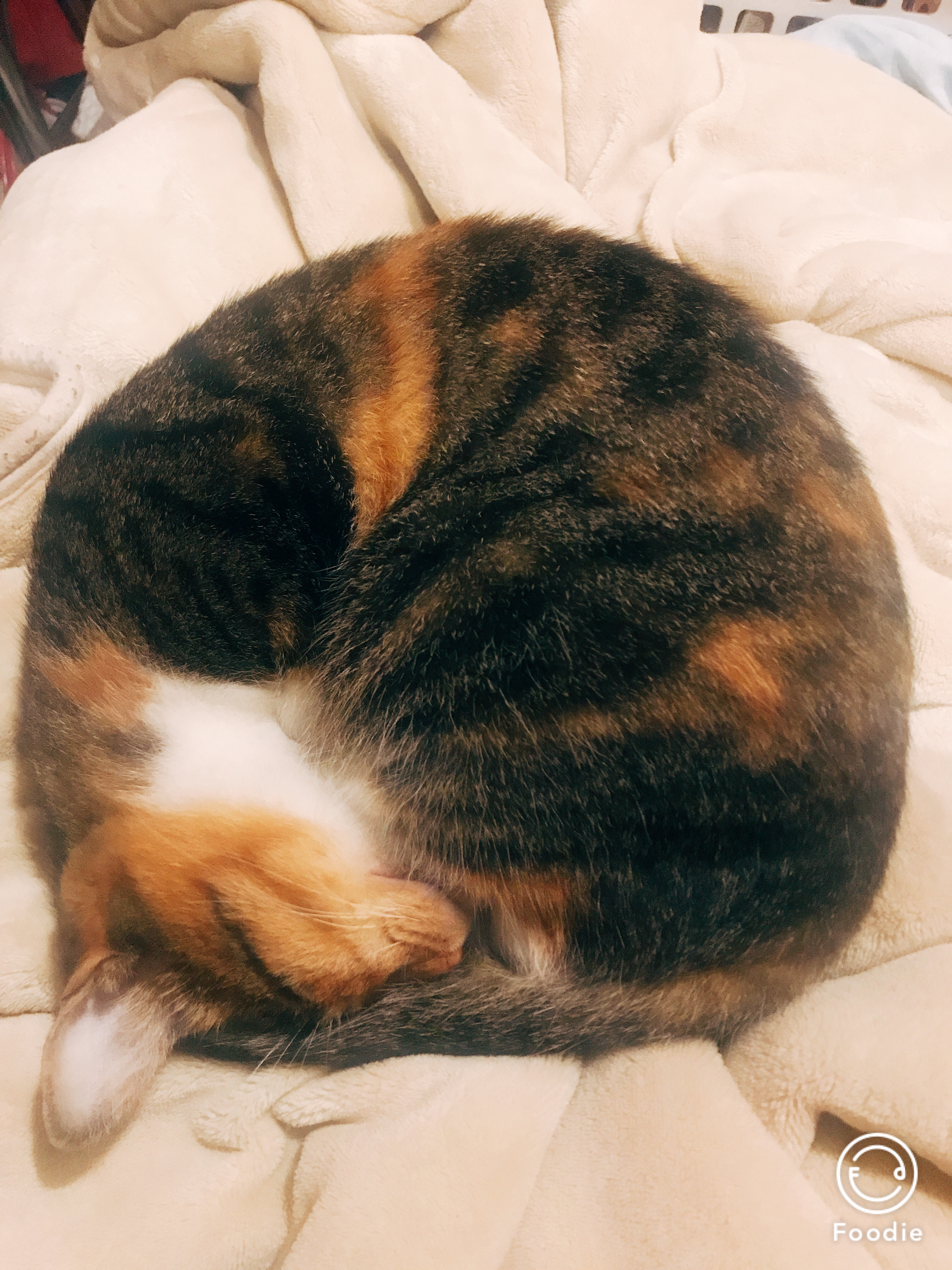 「葵大地ってネーミングどう思いますか？」byフォロワーさん