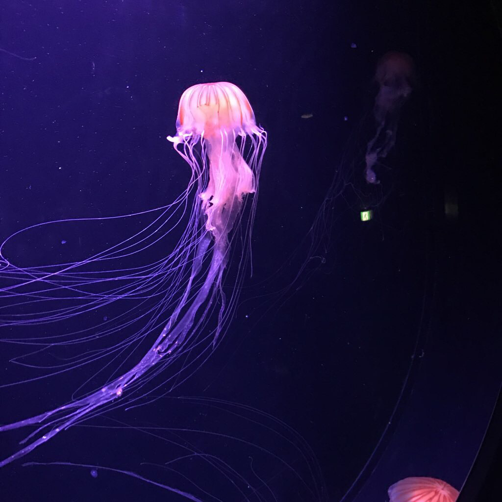 艦これフリーダムトーク02