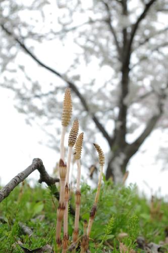 いろんなもの見たあとの感想言ってることが多いです