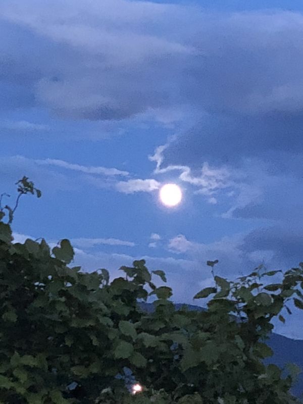 質問箱回答！ごめんね！遅かったね！