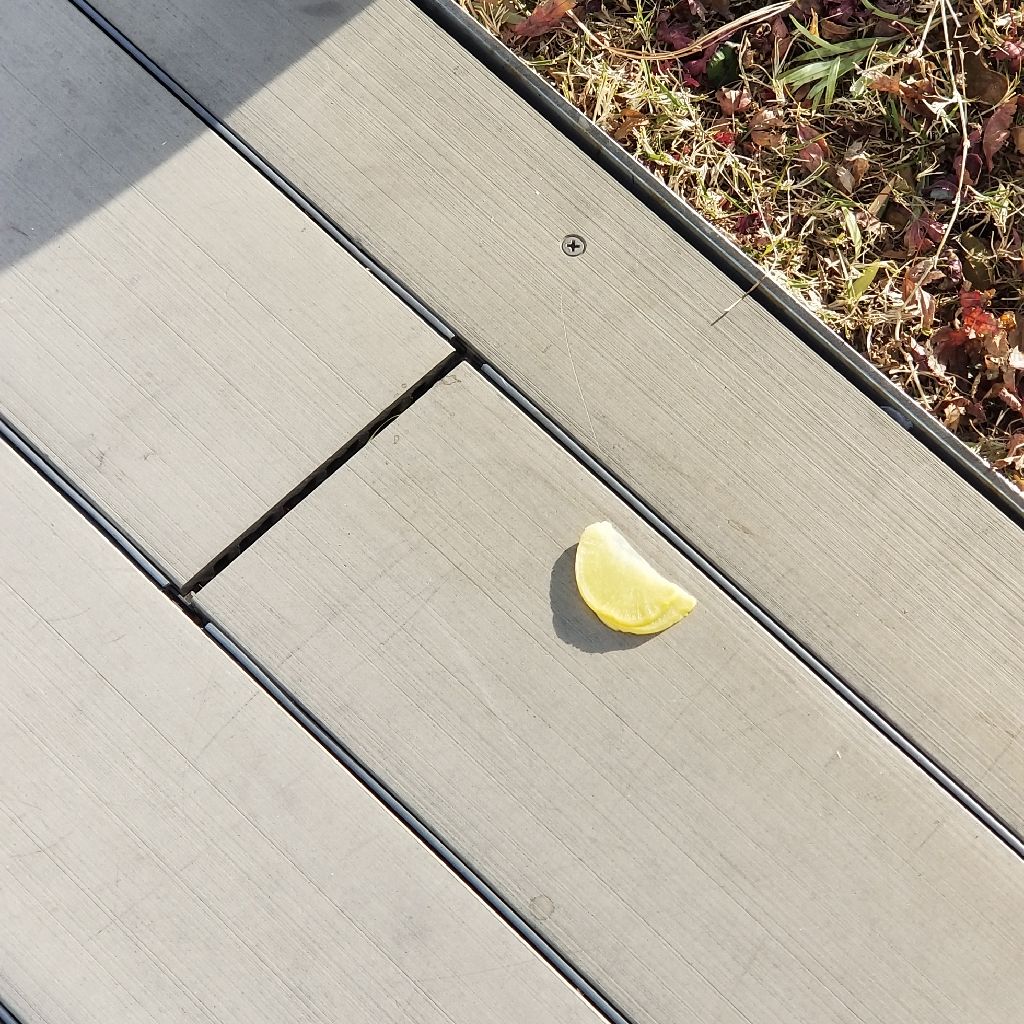 麦畑がしゃべるだけ