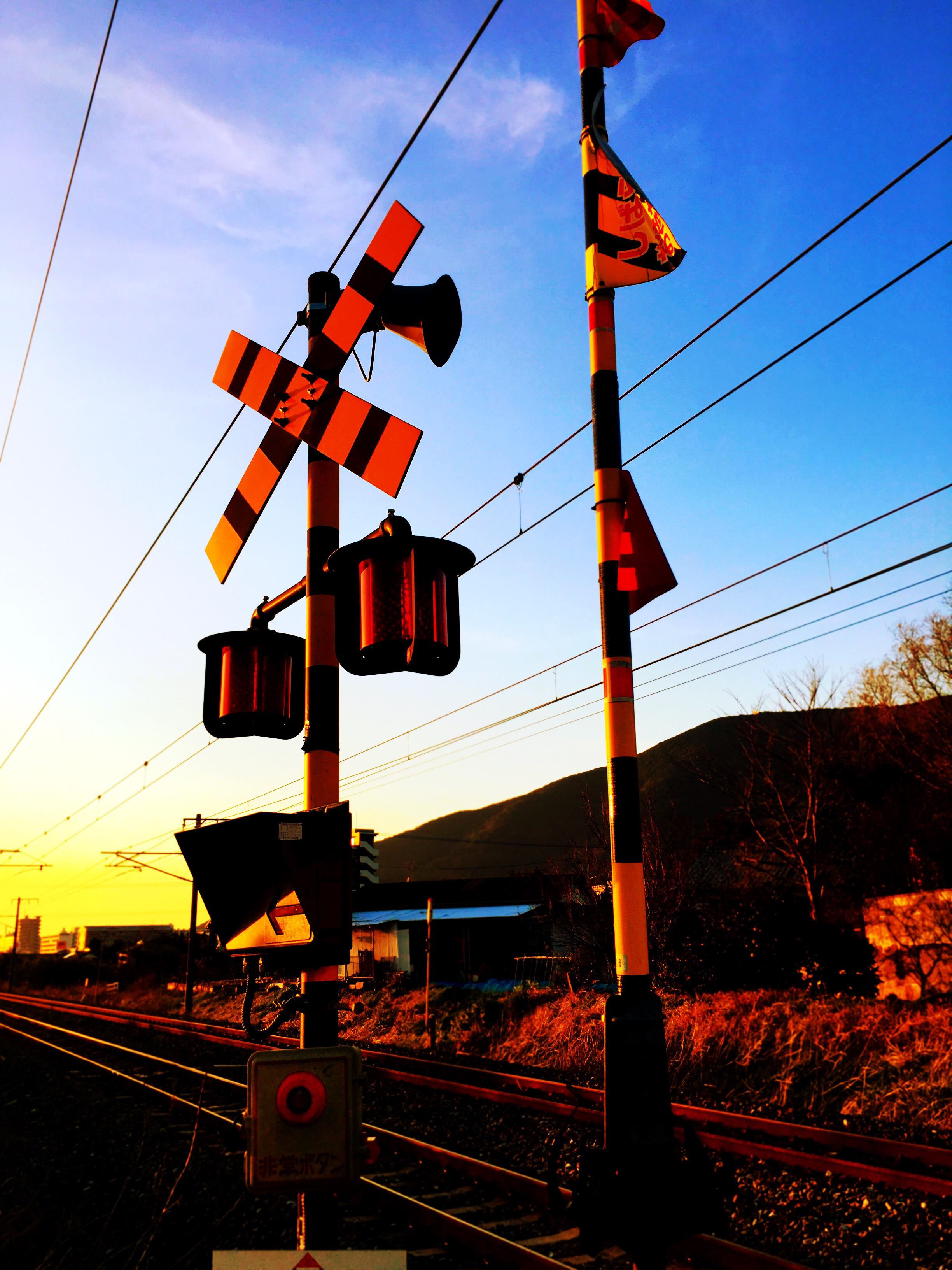 わたしはわたしのはなしをした！