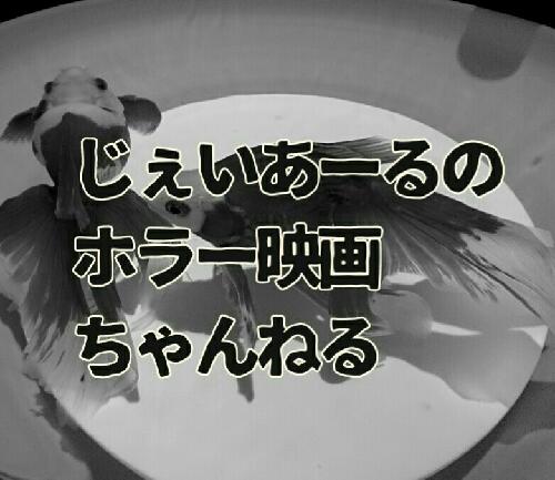 #32 映画「コワイ女」を紹介する
