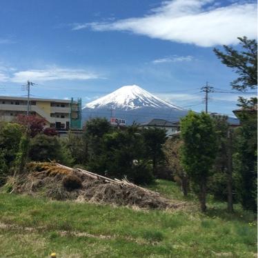 迷走から瞑想へ