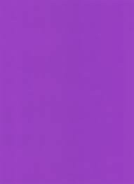 #04 「top dog」について