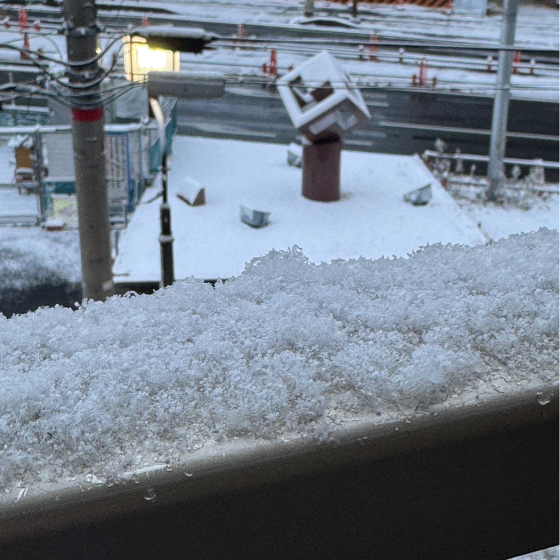 起き抜けラジオ#1681 積もったね