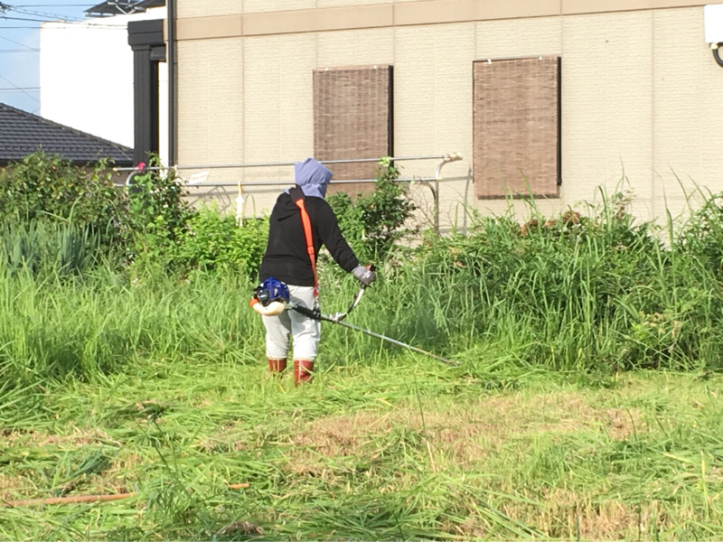 番外編 眠れないので。/近況報告と今後の予定とありがとうな気持ち。