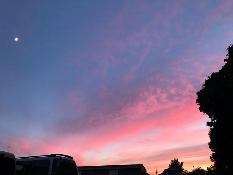 #107 漢文「知音」で腐に目覚めたときの話を語ってみた回/未だに妄想広がりまくりです。