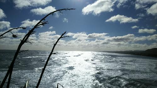 gdkdとハンバーガー