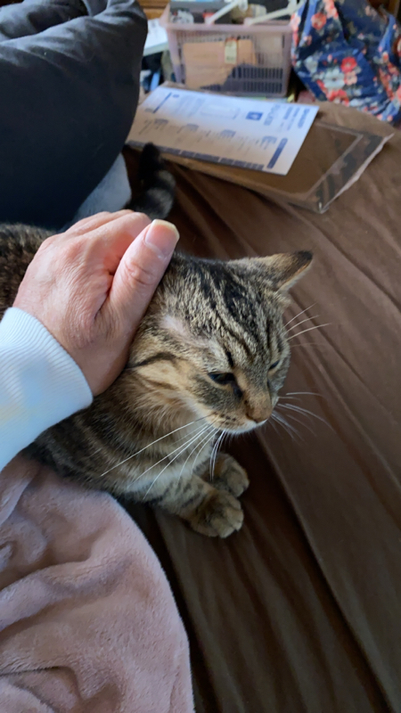 ウマヅラさんおすすめです👍