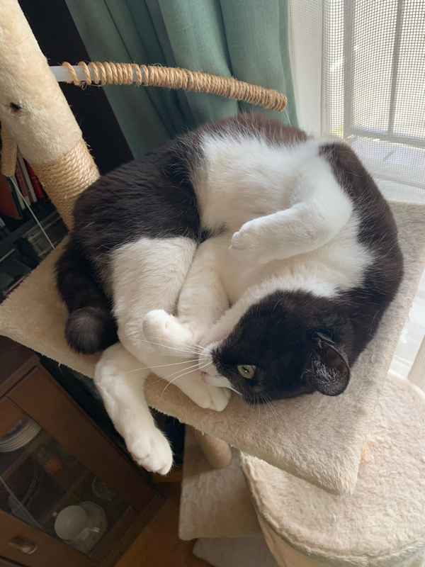 1回目「最近ハマってるもの」