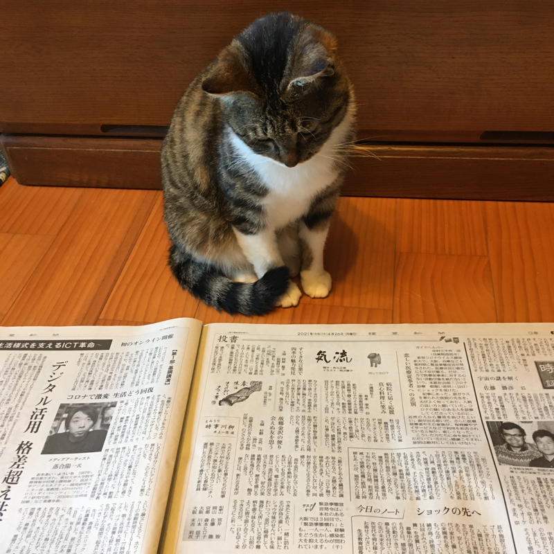 相対化バカにつける薬