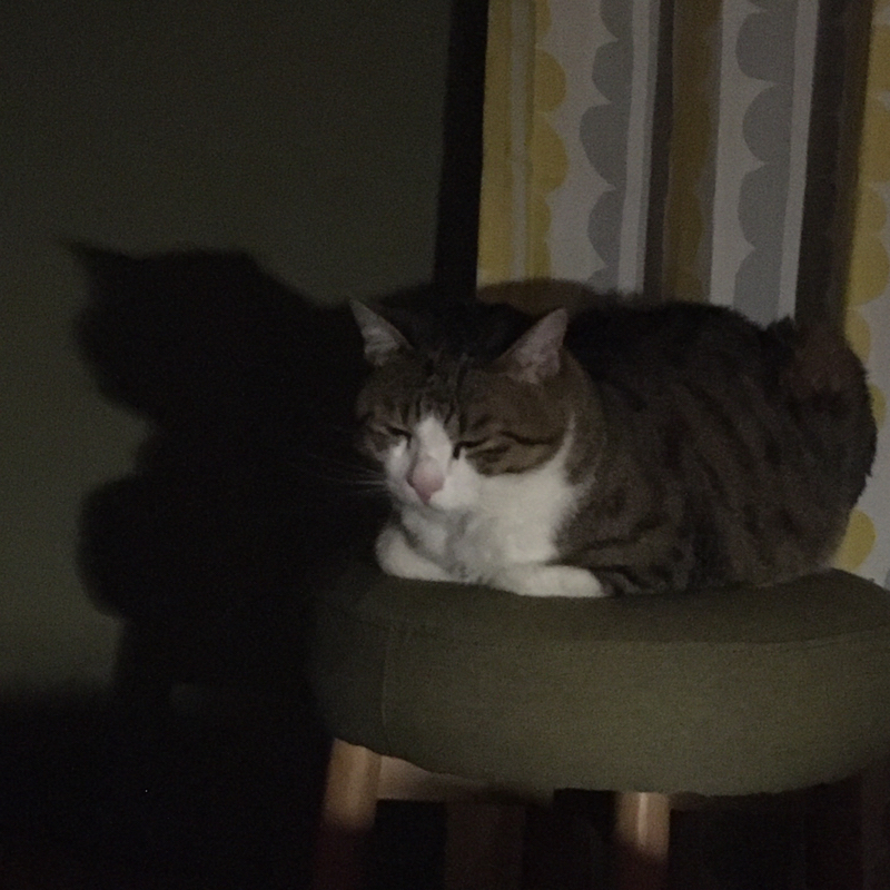 これからどう生きるかどうしたものか3