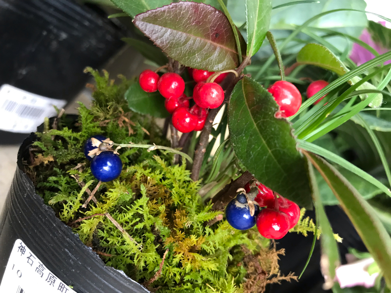 暇だったし喋ってみた。