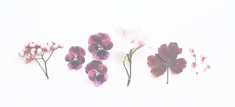 19歳だけど死ぬ準備しはじめた話