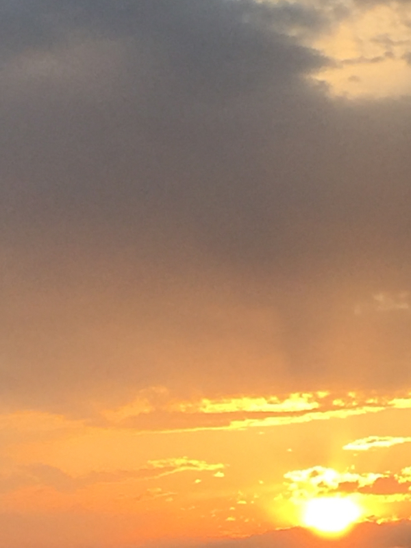 ８回目 変化に富んだ日常、テンション高め