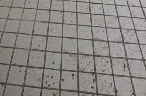 いらむからじお