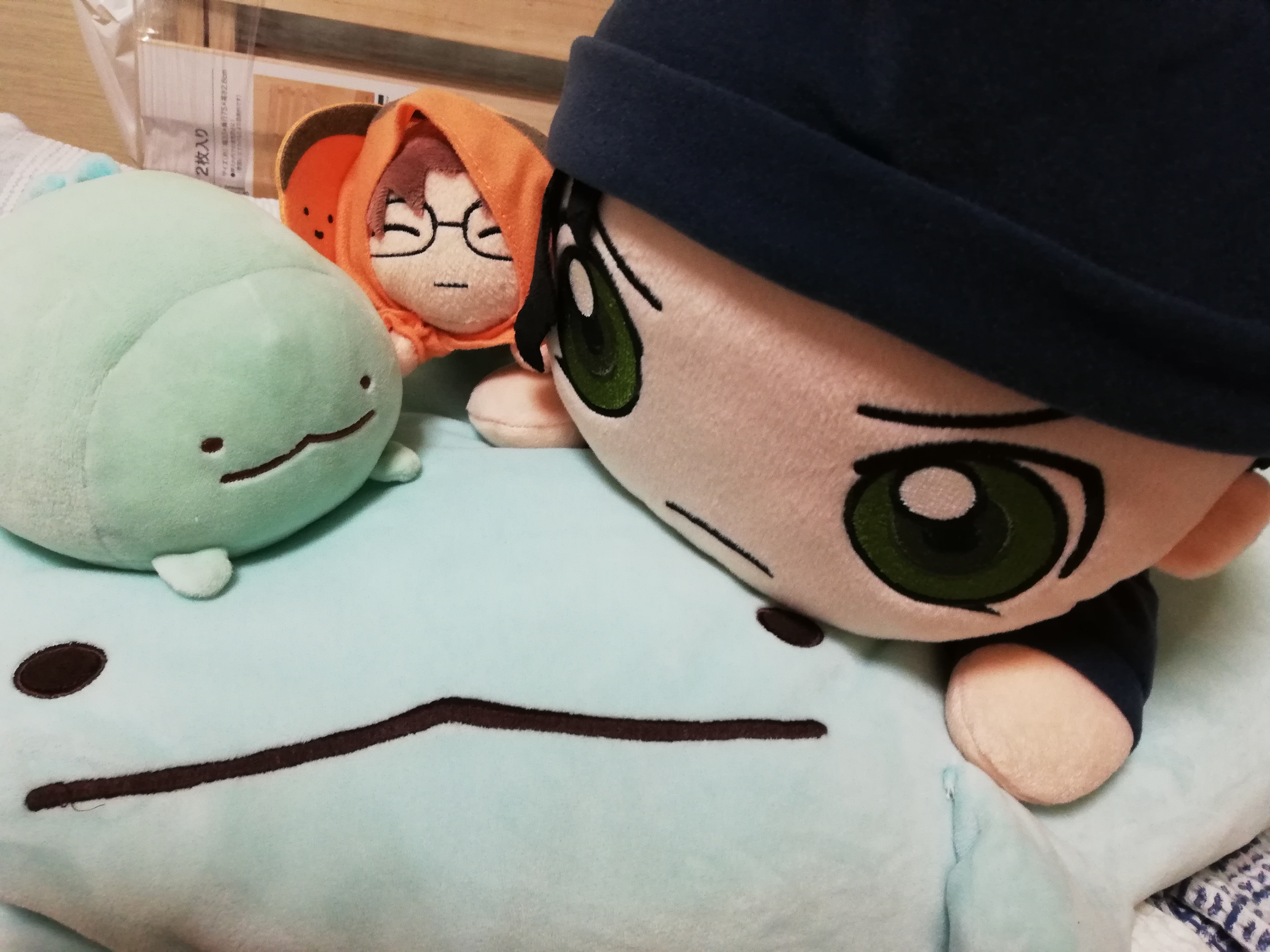 ぐだぐだとDVDを買った時の話