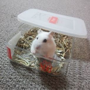 子供がYouTuberになるのをとめるべきか？