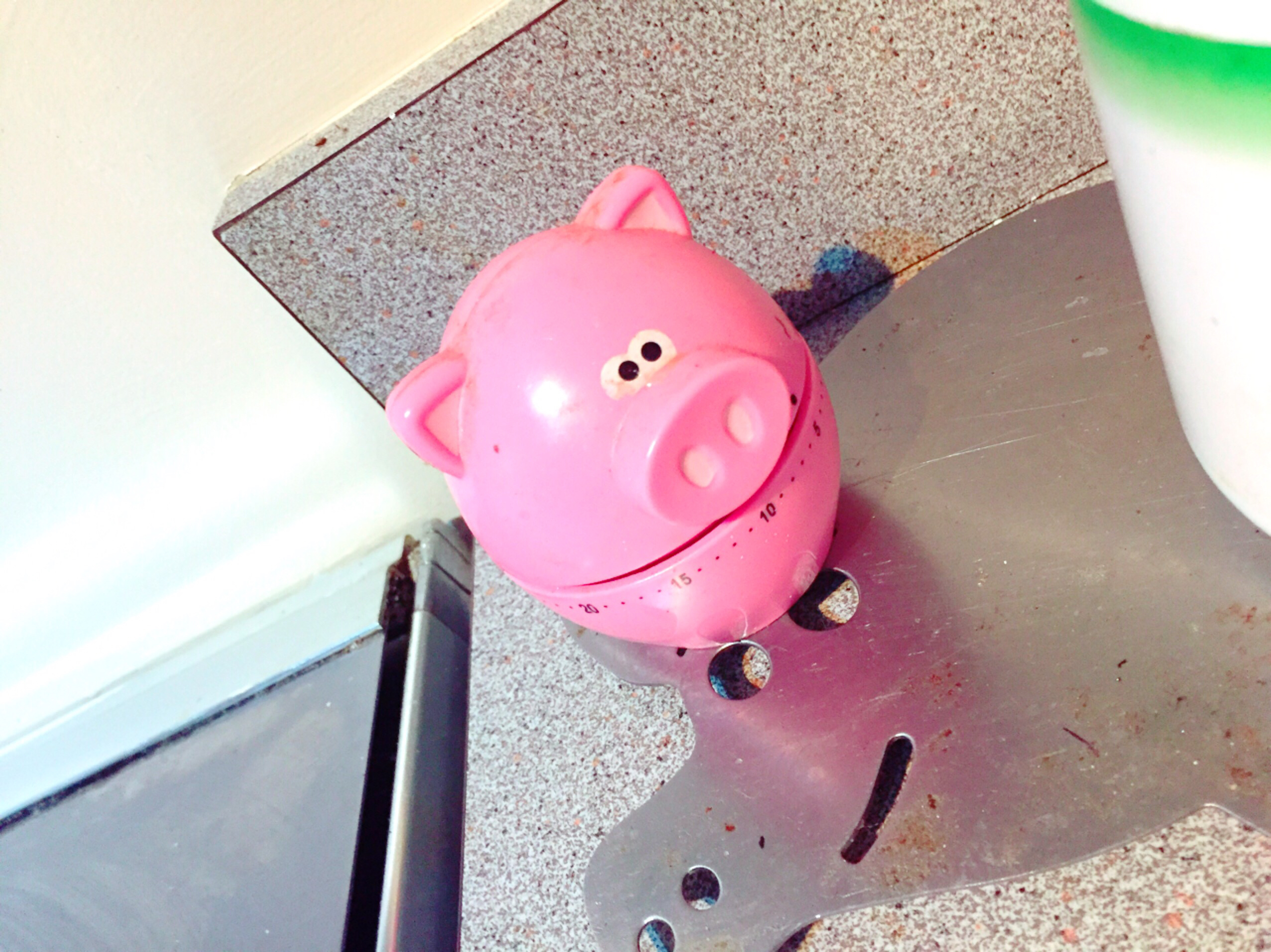 今日も頑張って生きた