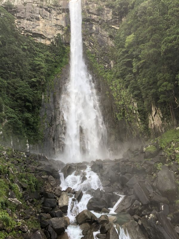 #4  腐女子がたぬを語る