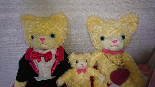 自己紹介と今後について