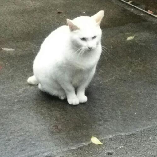 夜中にぐだぐだ腐女子トーク