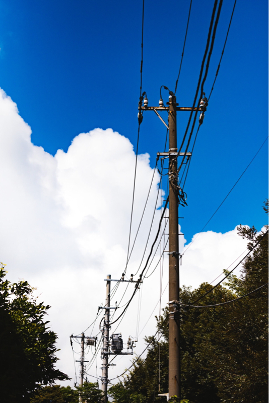 推しカプが気持ち悪い