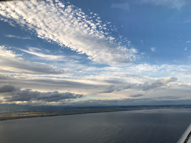 楽しみすぎて中身がない