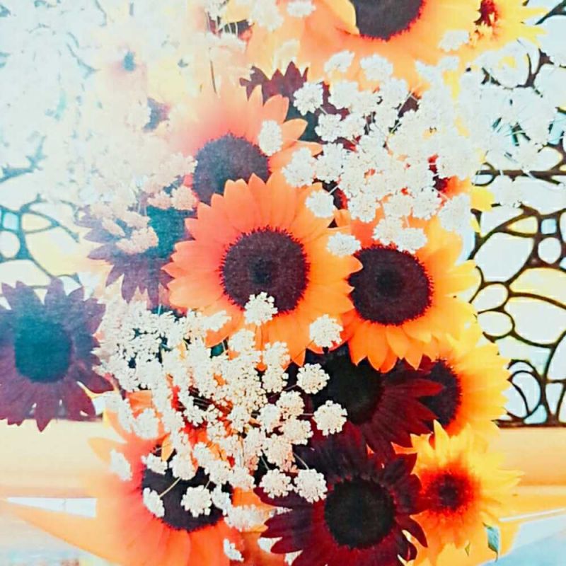 わしらじお第1回【ぼくのなつやすみ】