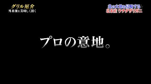ドラクエVIIIを音だけ実記