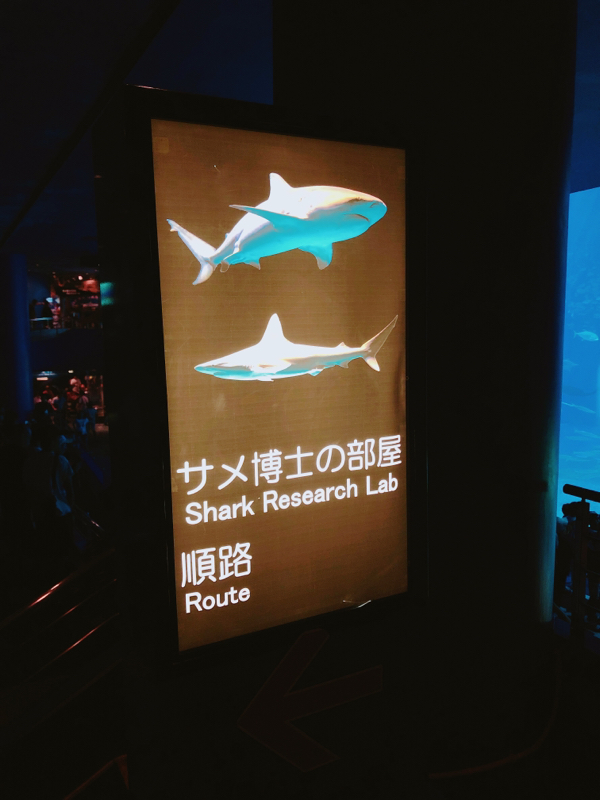 かおぶろラジオ8？ぐらい？